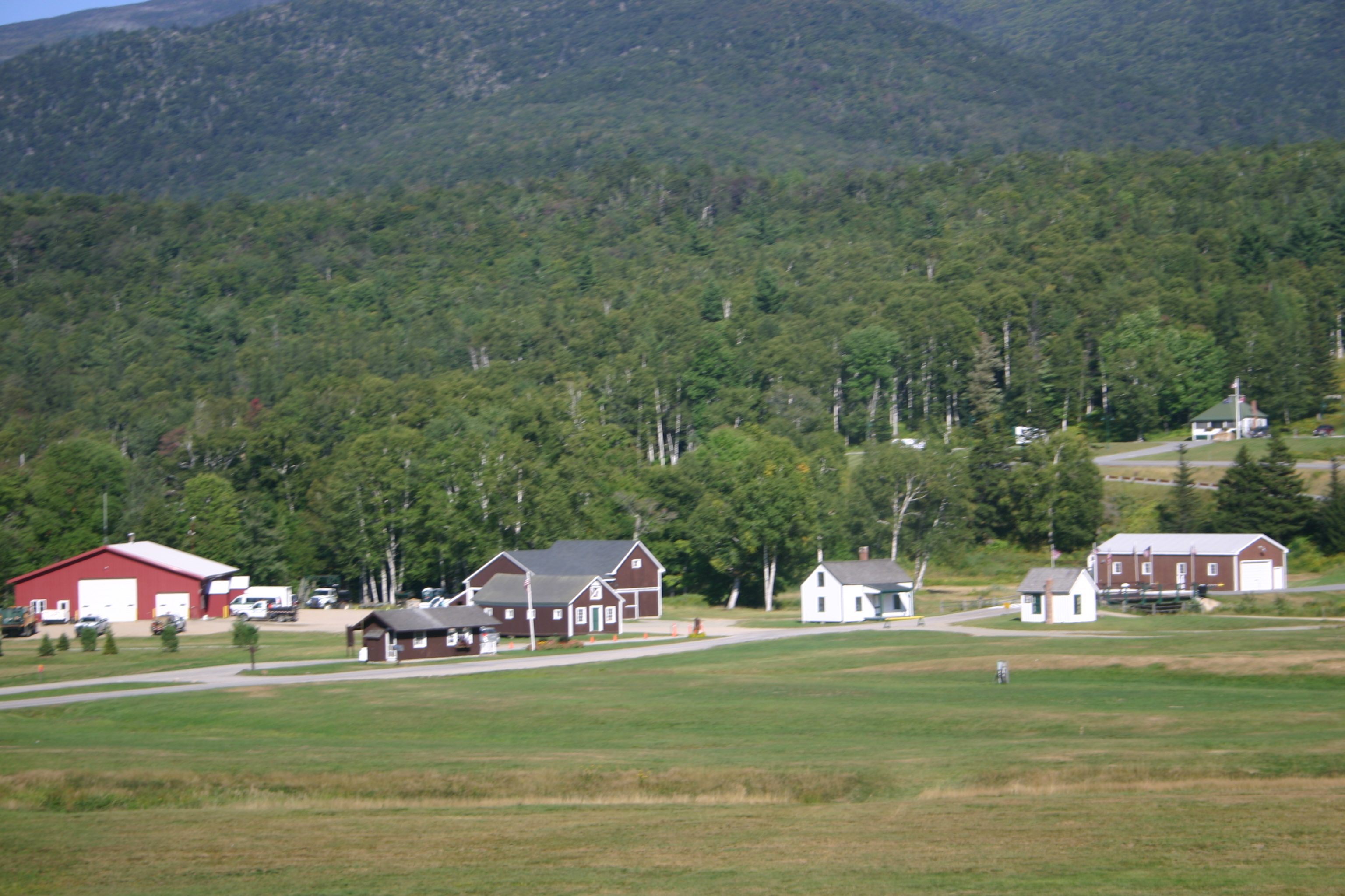 picture 11.